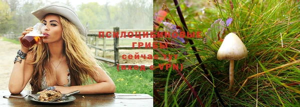 стафф Абдулино
